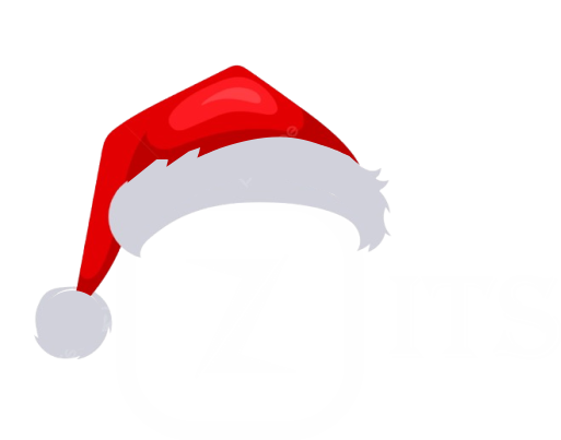 ZiTechurity IT Solutions